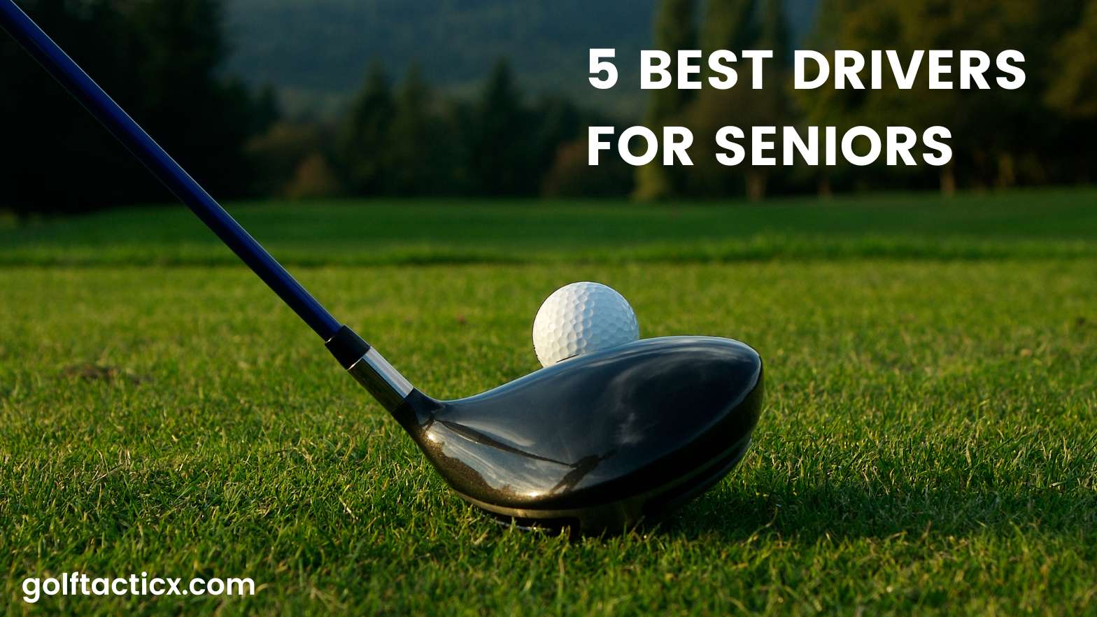 The 5 Best Drivers for Seniors of 2024