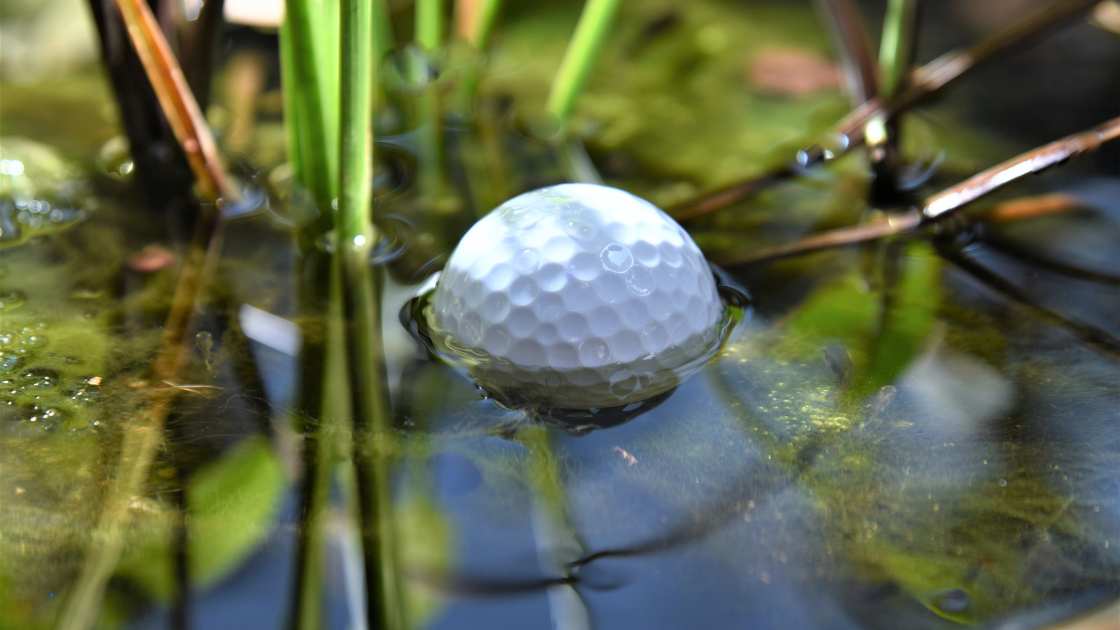 Golf Ball Retriever