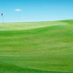 Golf Game on Fast and Slow Greens