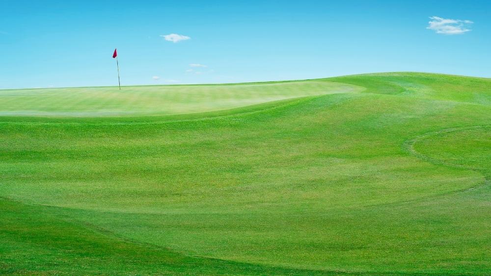Golf Game on Fast and Slow Greens