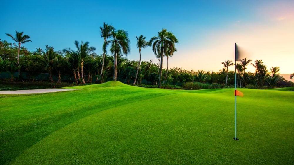 Mastering Golf Game in Windy Conditions