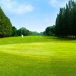 How to Develop a Course Strategy That Maximizes Personal Strengths