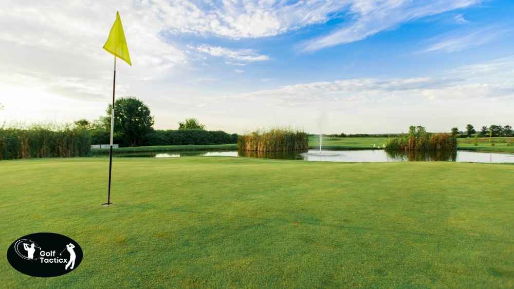 Control Trajectory in Chip Shots